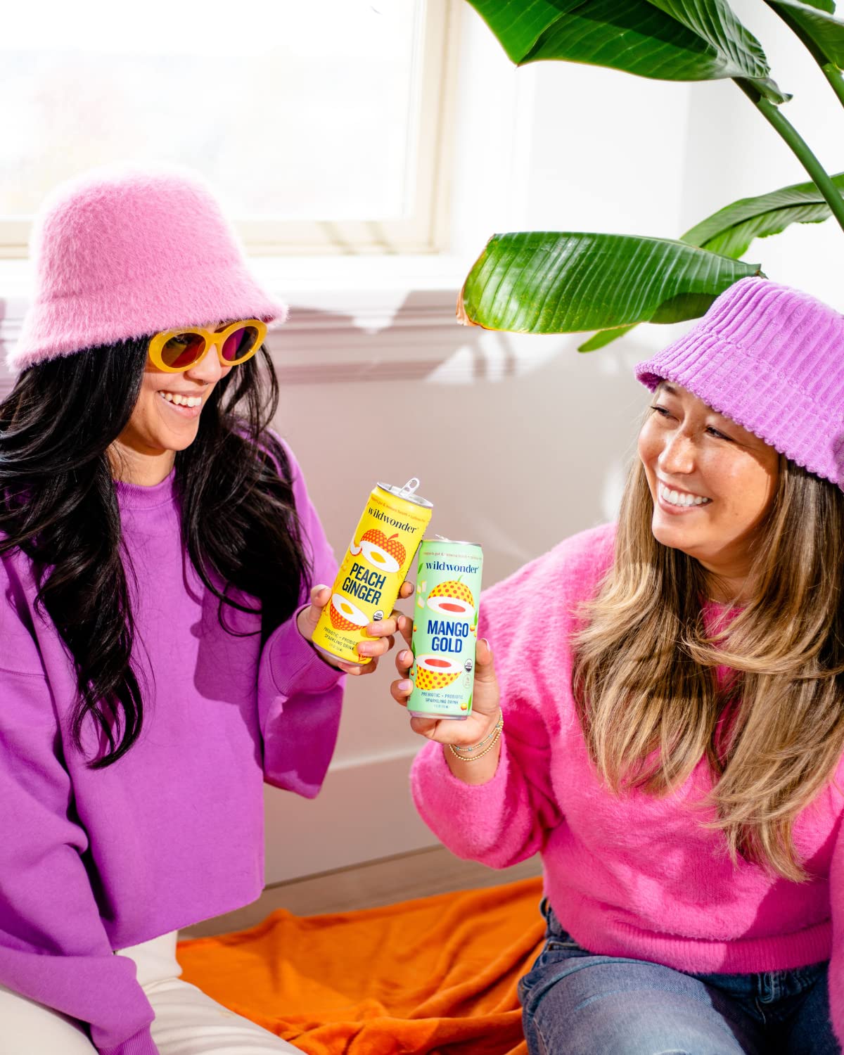 Wildwonder Probiotic Juice Drink, Variety Pack