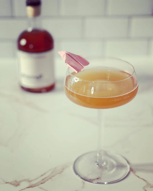 Drycraft Paper Plane Kit